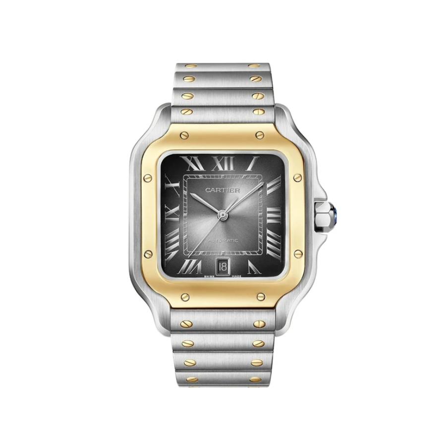 Cartier Santos De Cartier Modello Grande