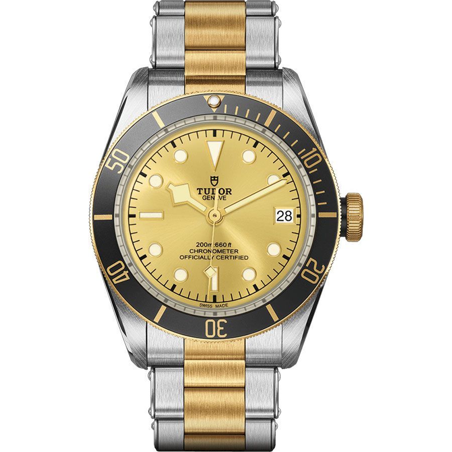 Tudor Heritage 41 mm Black Bay S&G